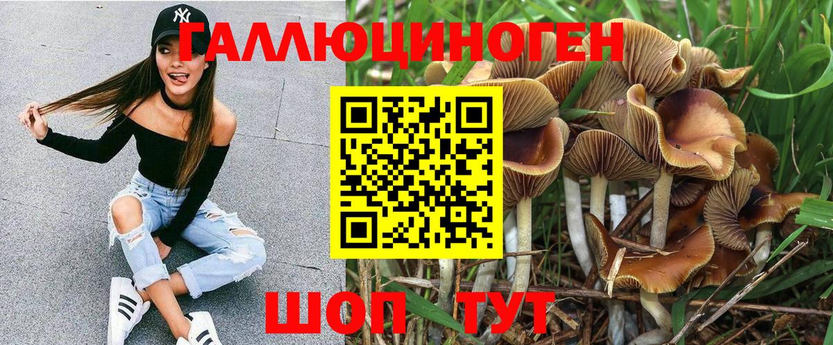 Псилоцибиновые грибы Cubensis  Псилоцибиновые грибы GOLDEN TEACHER  Советск  Вход с VPN 