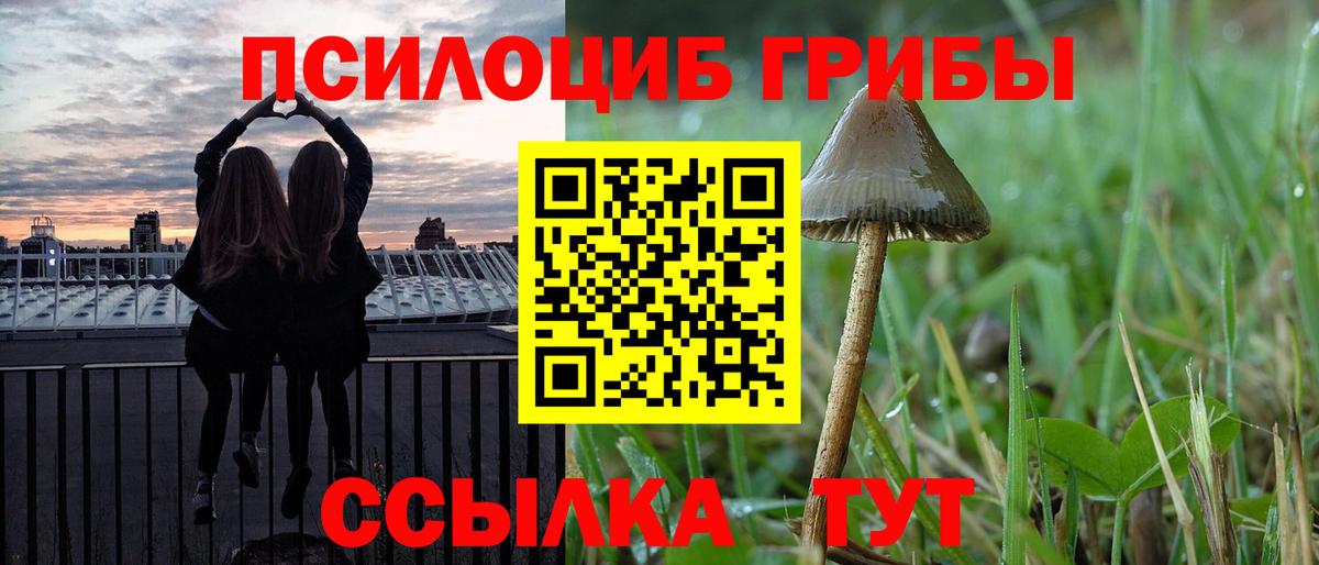 Галлюциногенные грибы GOLDEN TEACHER Советск